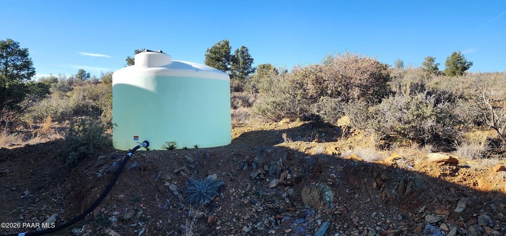 Picture 23