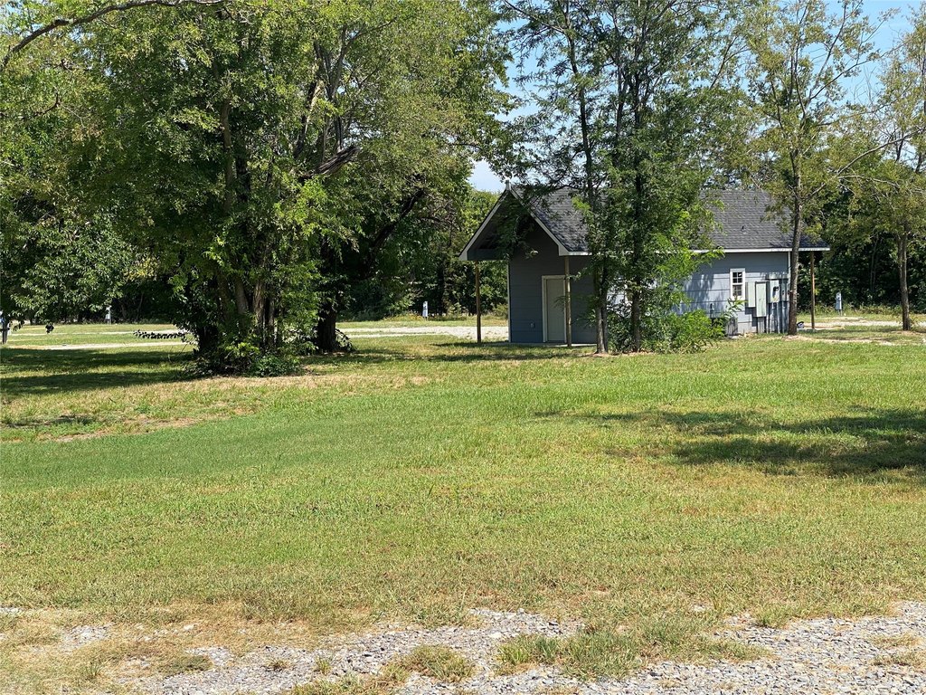 Picture 6
