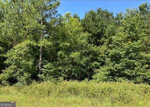 Land, Hawkinsville, GA