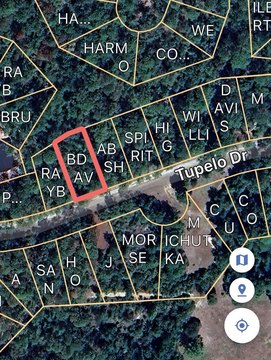Rayburn Country Lot