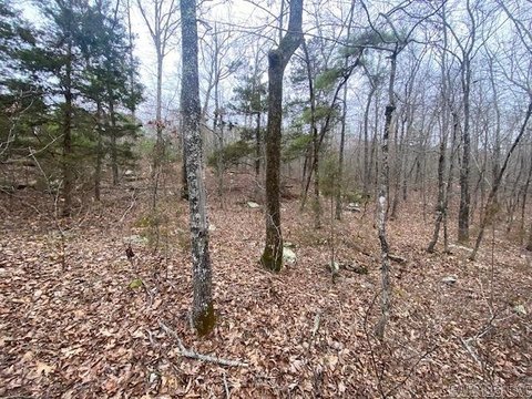 Holley Mountain Airpark Land