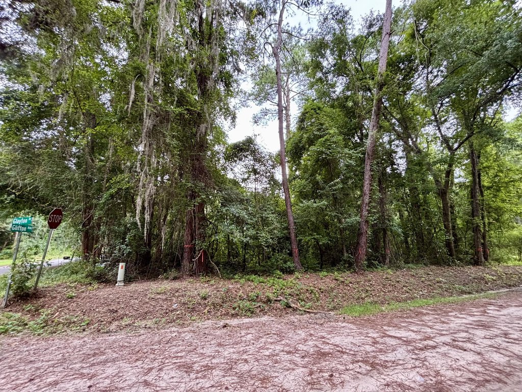 Picture 3
