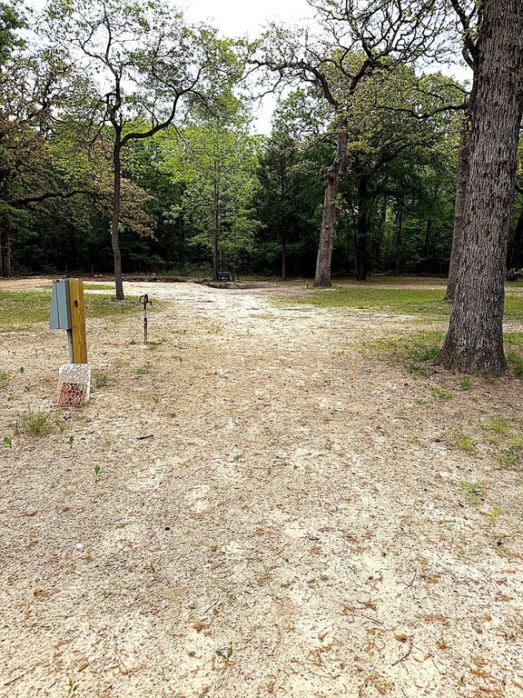 Picture 14