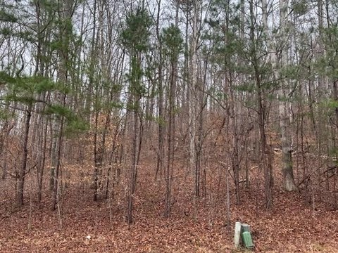 Residential Lot in Dalton, GA