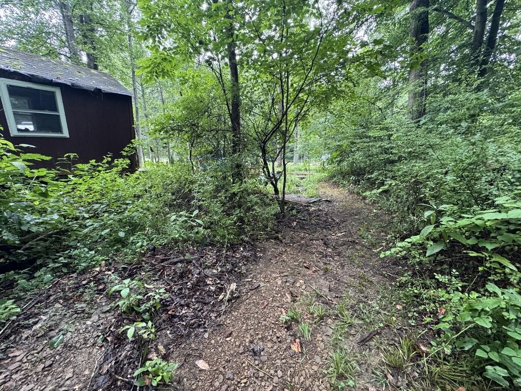 Picture 5