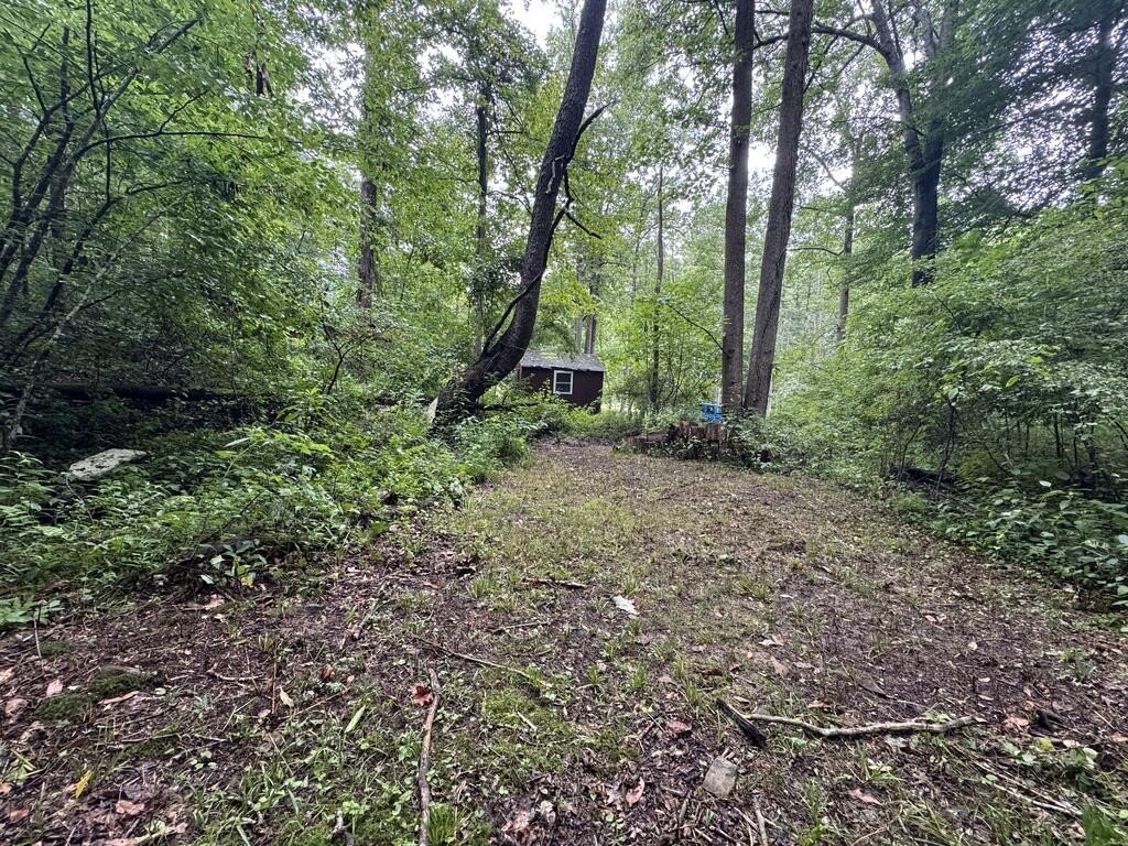 Picture 7