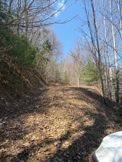 Picture 5