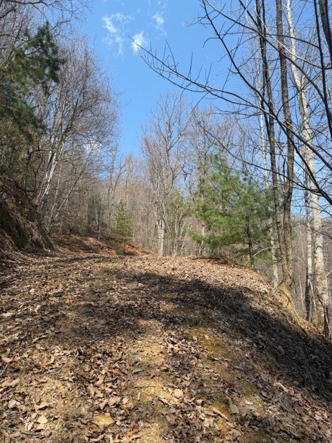 Picture 8