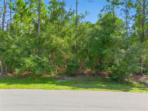 Land, ST CLOUD, FL