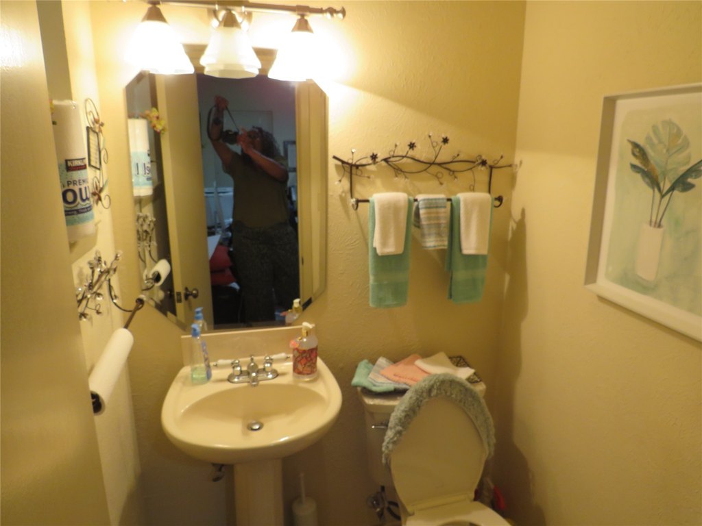 Picture 14