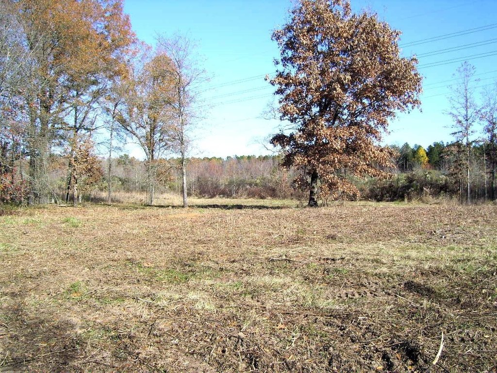 Picture 4