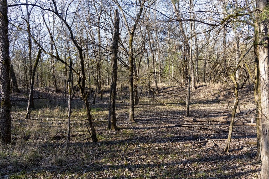 Picture 42