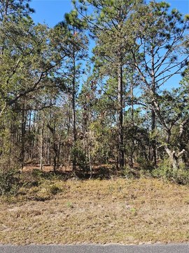 Residential Land Lot with Road Access
