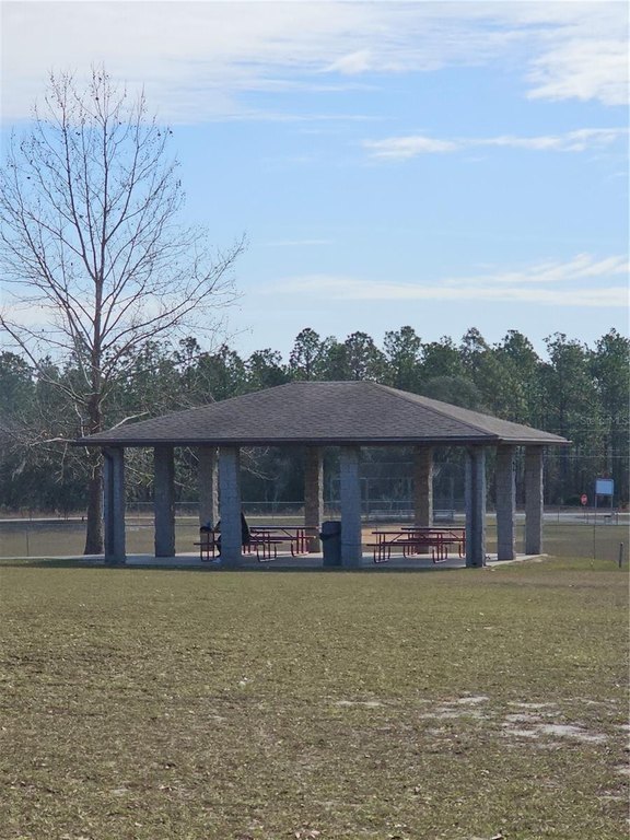 Picture 13