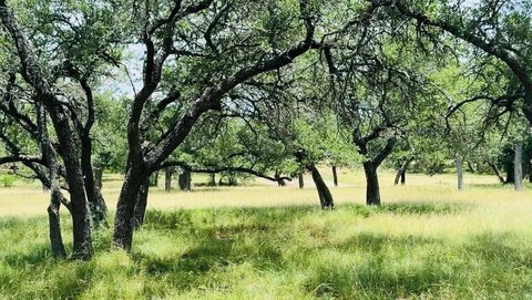 Land, Round Mountain, TX