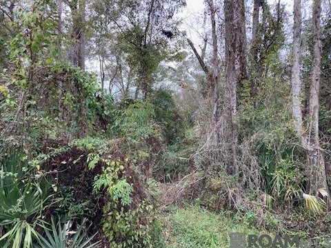 Residential Land in Denham Springs