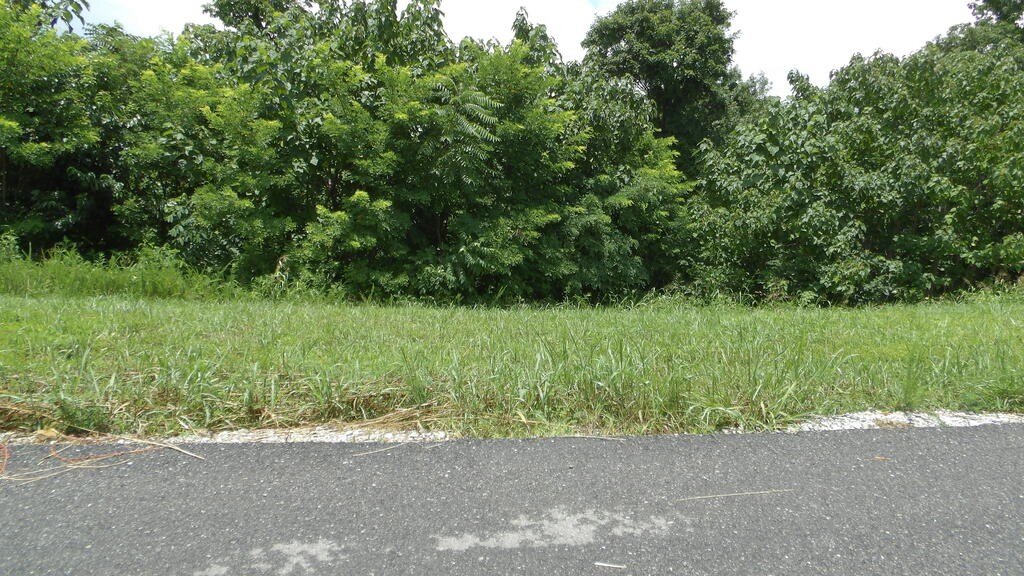Picture 15