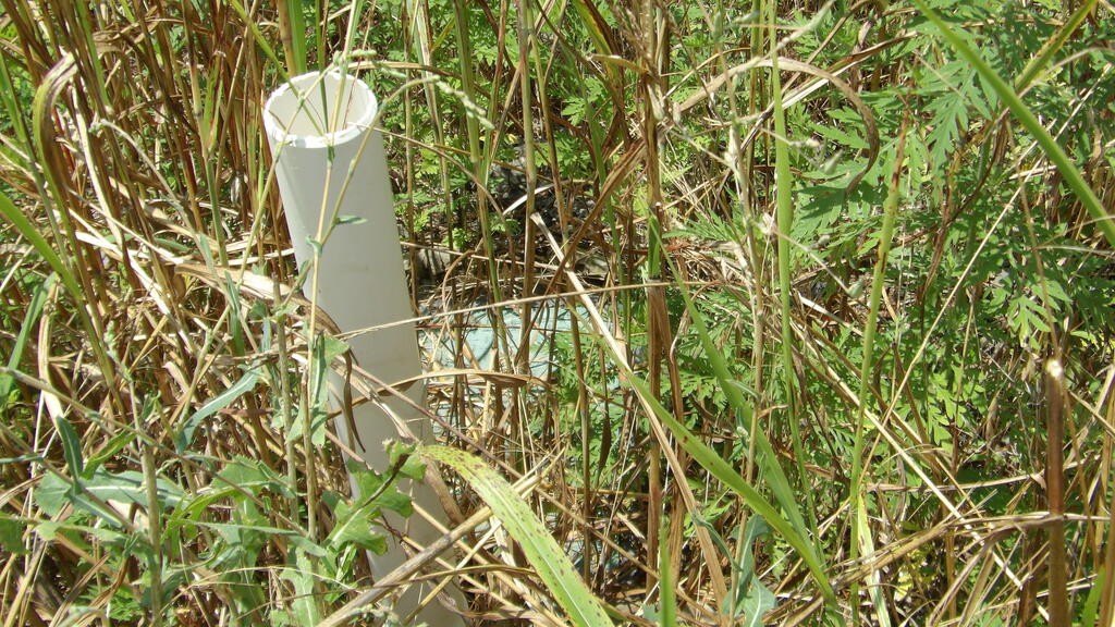 Picture 8