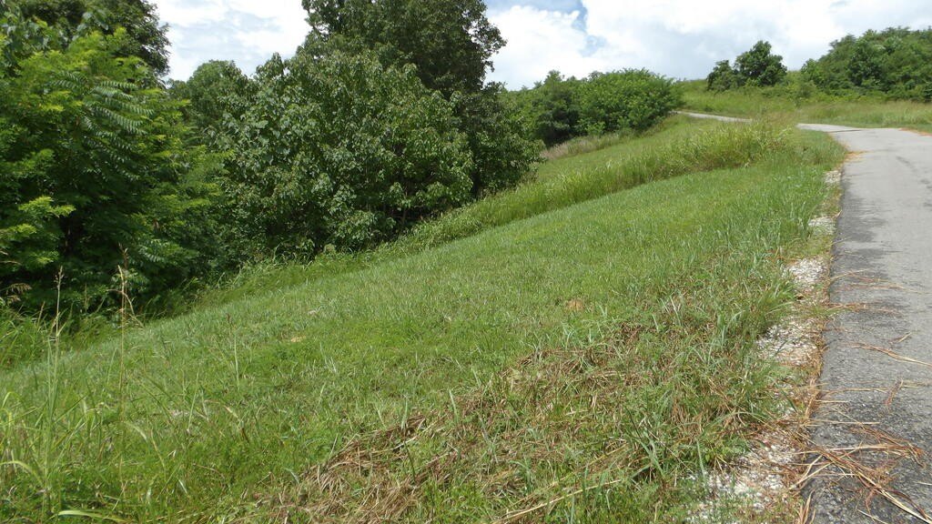 Picture 7