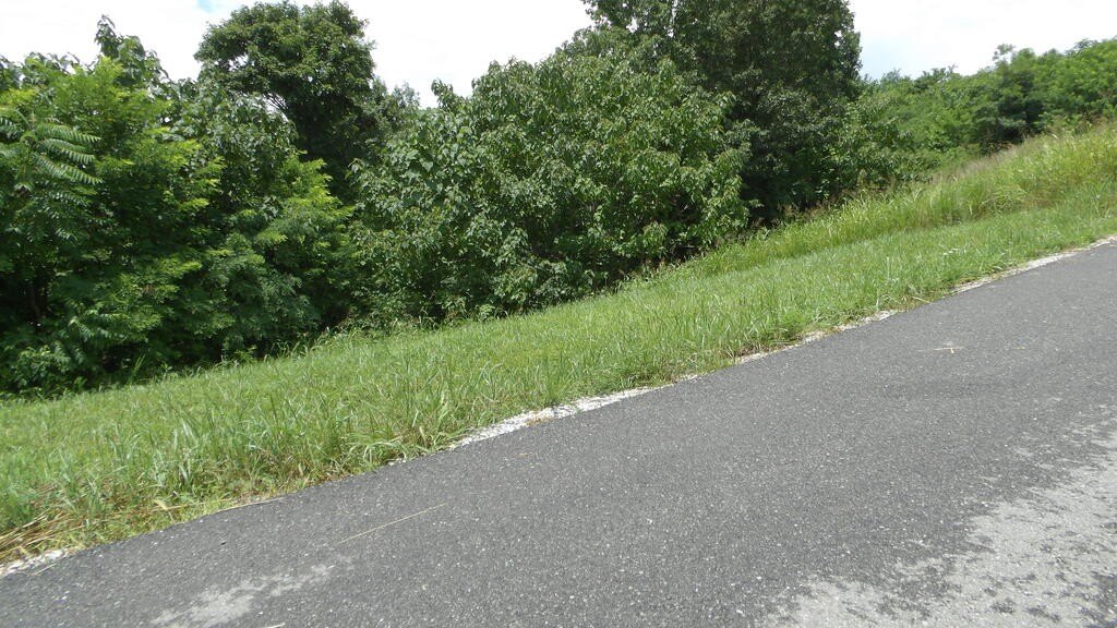 Picture 14
