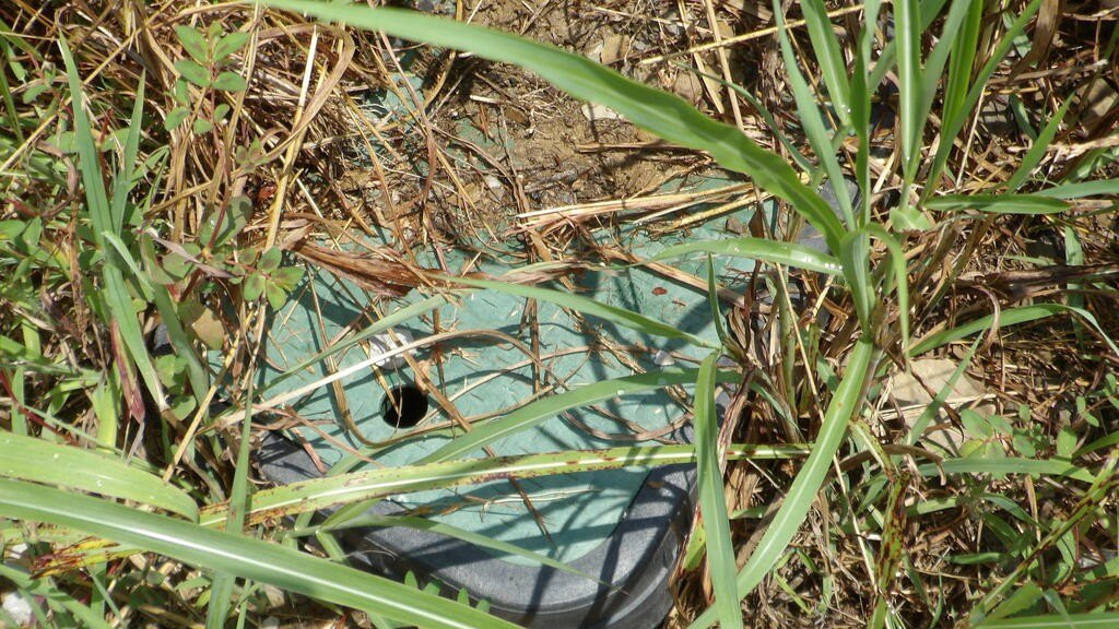 Picture 10