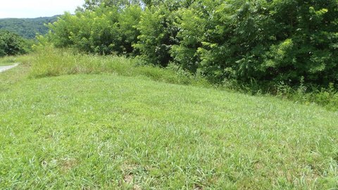 Land, Hilham, TN