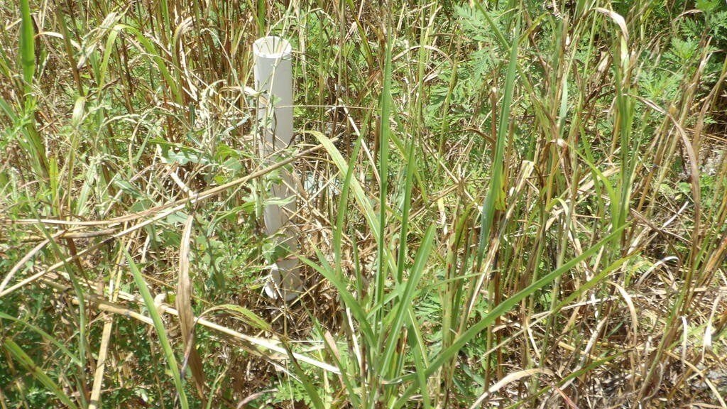 Picture 9