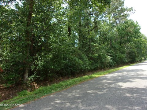 Abbeville Land with Development Potential