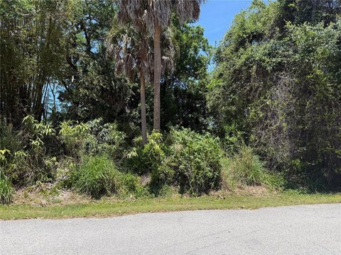 Residential Lot in Venice, FL