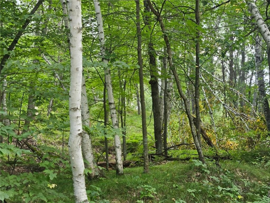 Picture 15