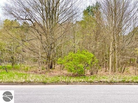 Multi-Family Wooded Building Lots