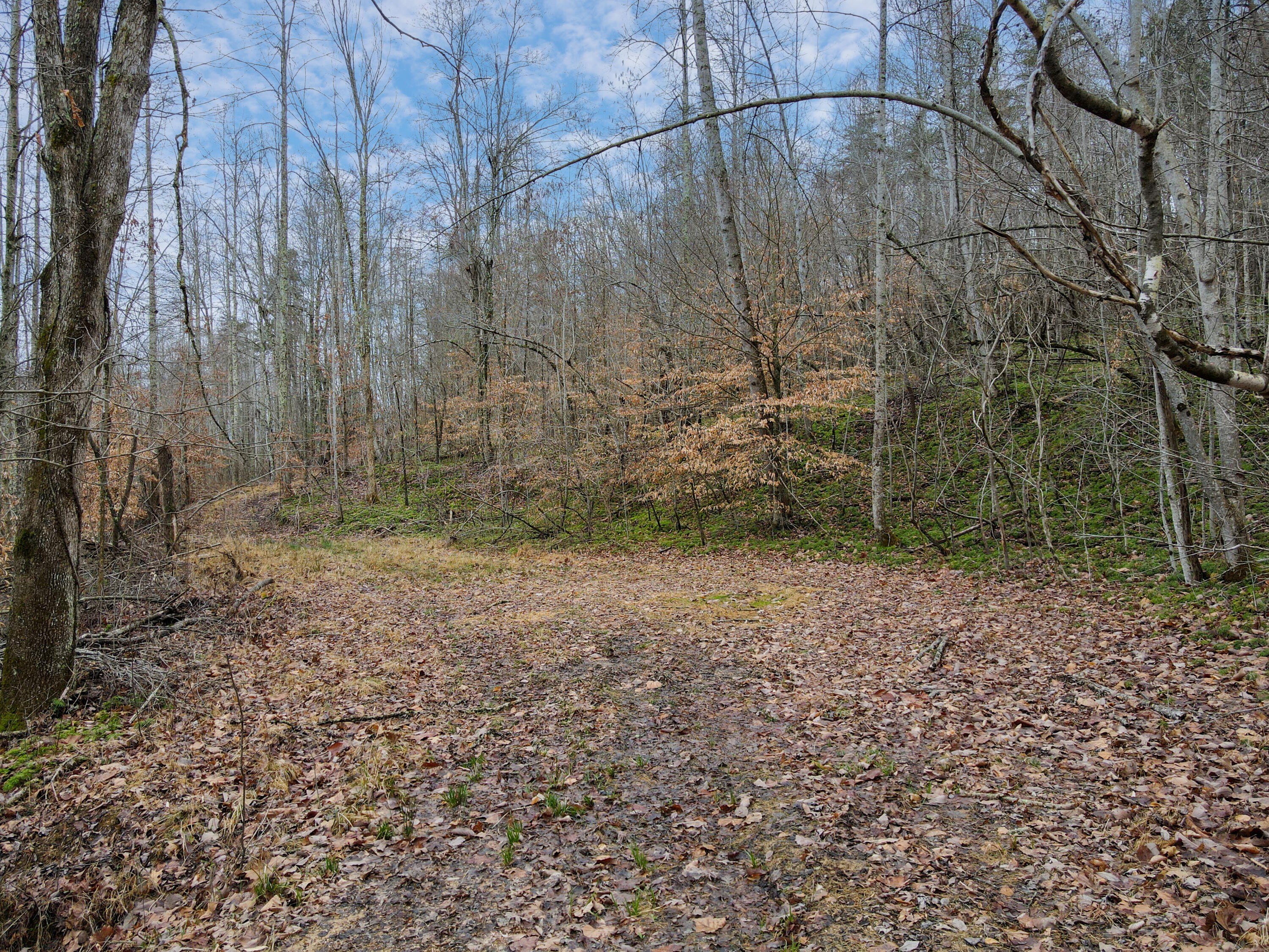 Land Near Red River Gorge
