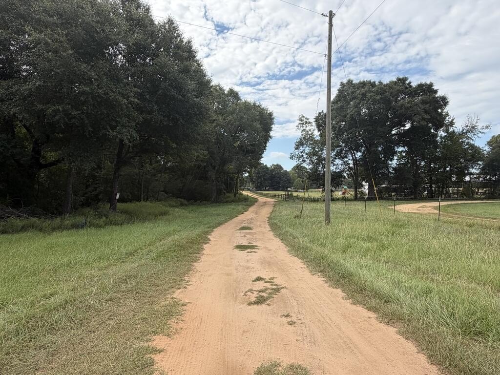 Picture 19