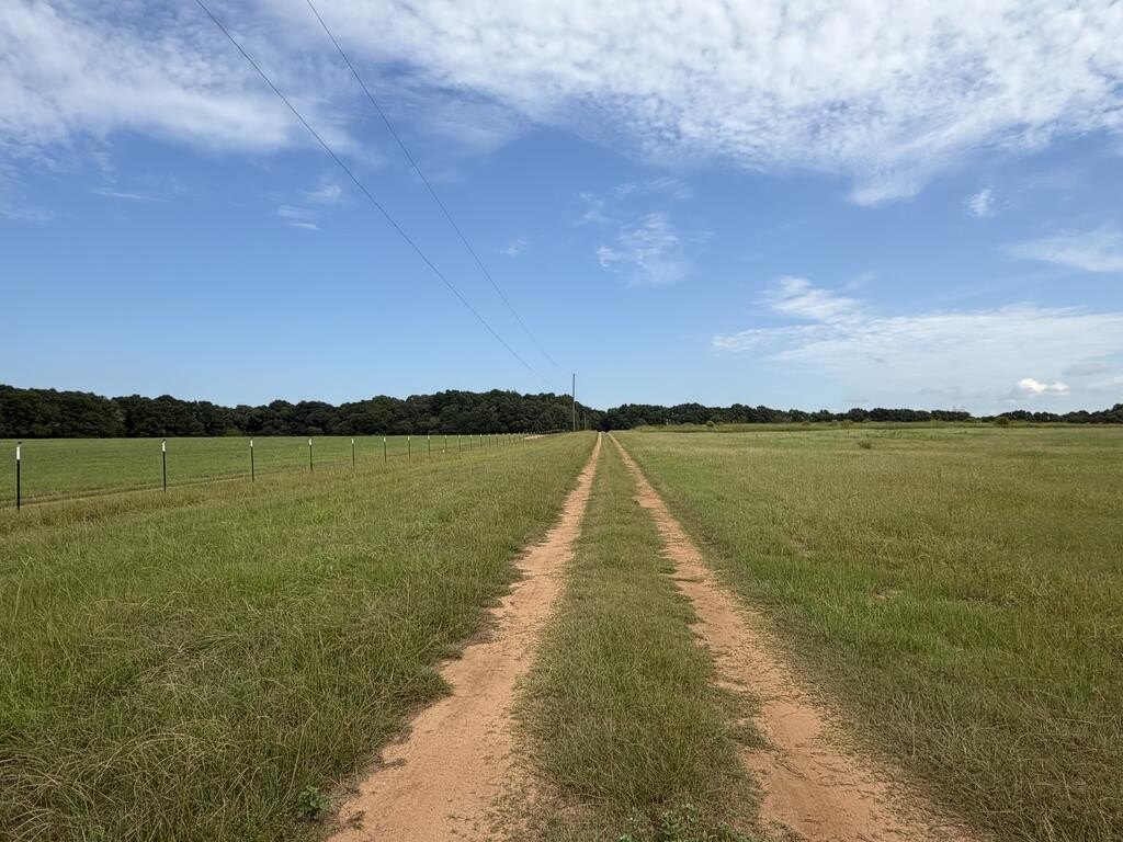 Picture 20