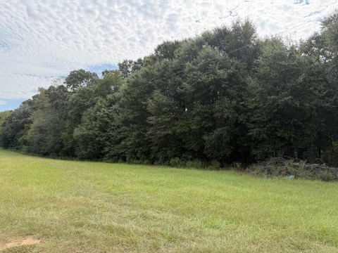Land, Headland, AL