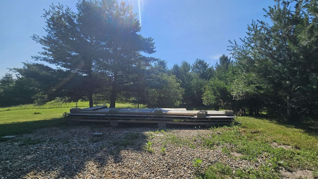 Picture 5