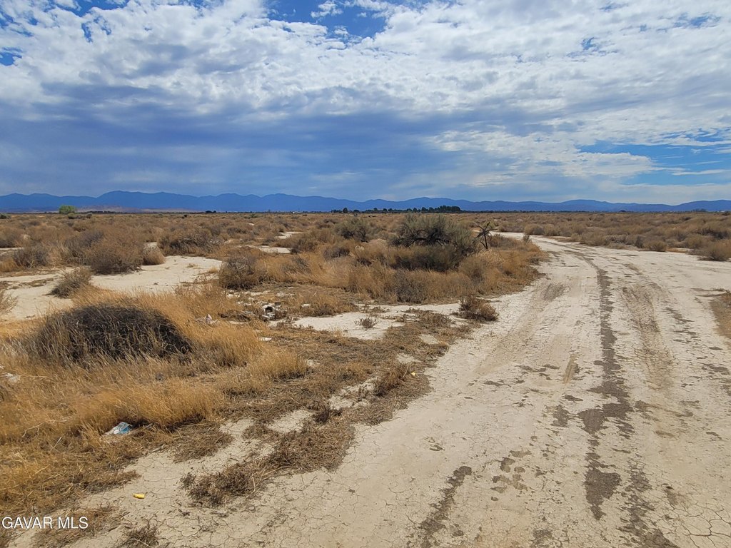 Picture 4