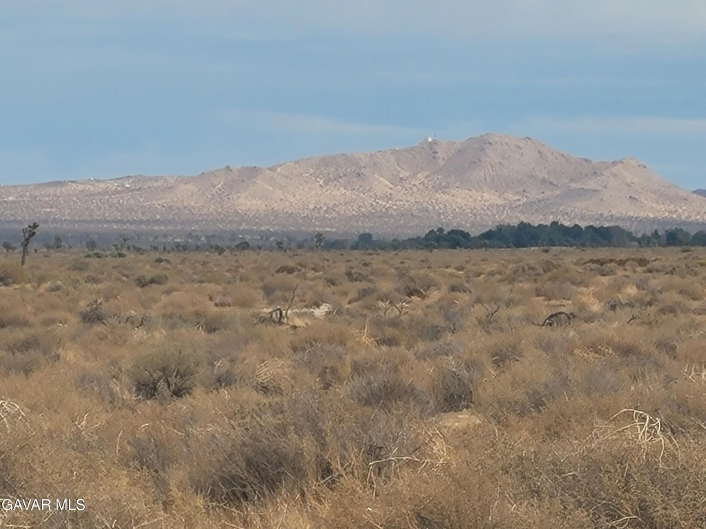 Picture 3