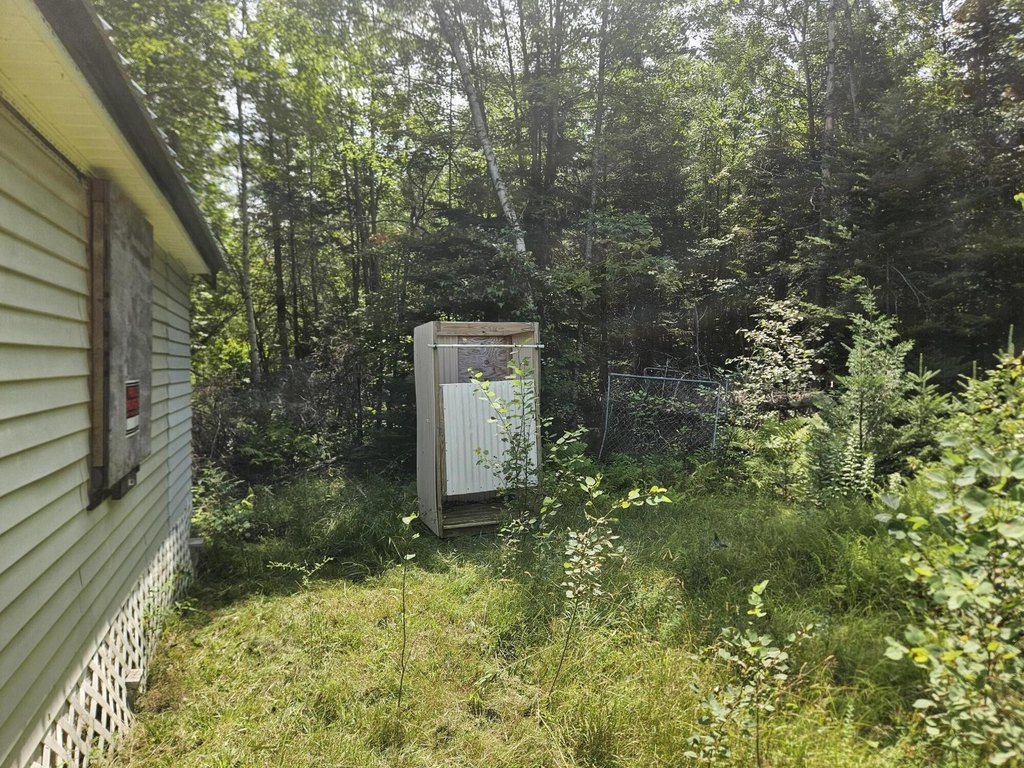 Picture 24