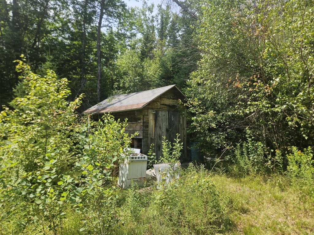 Picture 23