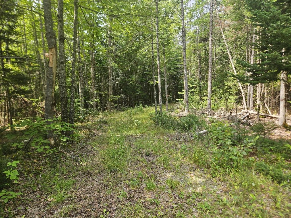 Picture 28