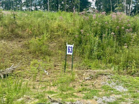 Residential Lots in Holly Grove Estates