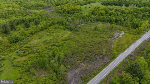 55 Acres of Hunting Land
