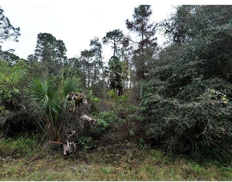 Land, NORTH PORT, FL