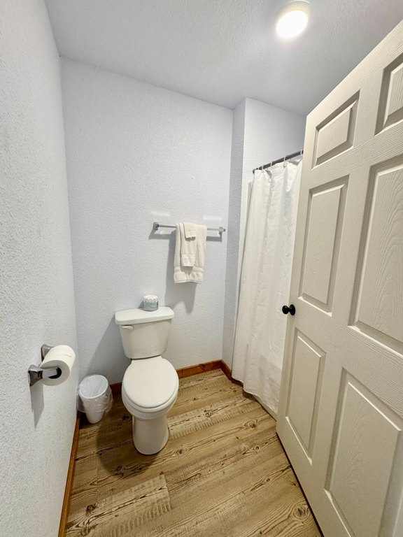 Picture 40