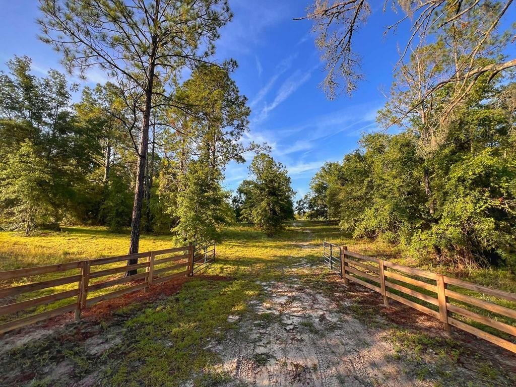 6 Acres of Rural Land