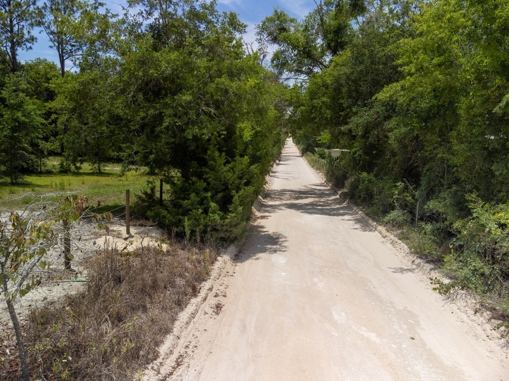 Picture 13