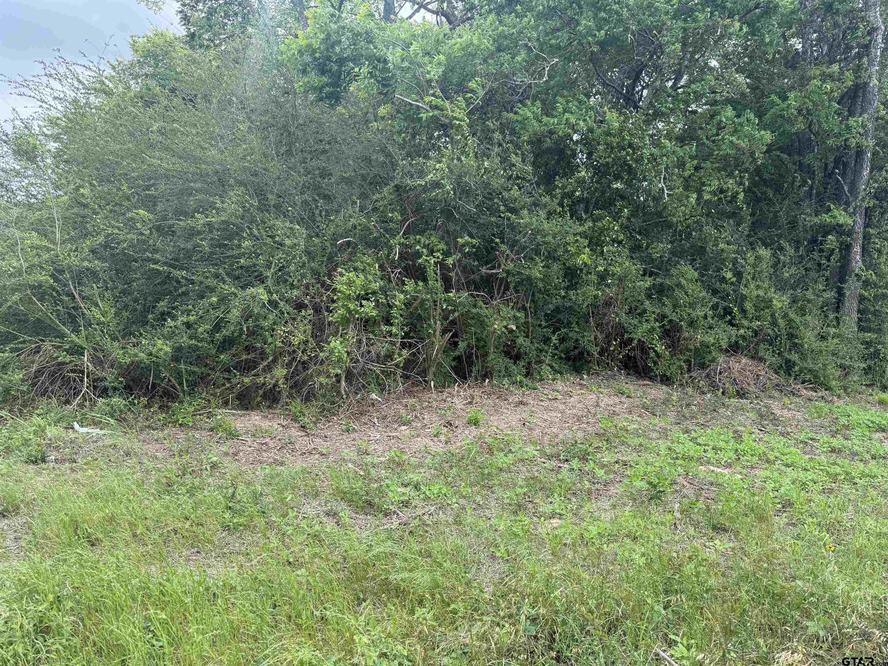 108 Acres East Texas Land