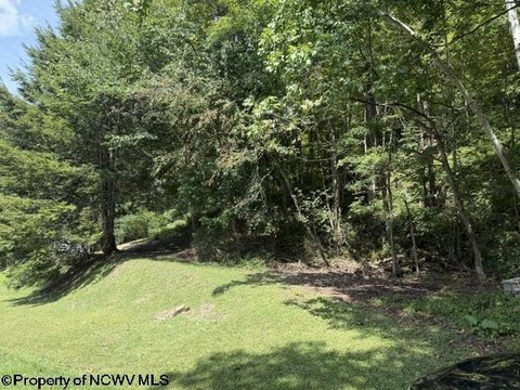 Land For Sale in Philippi