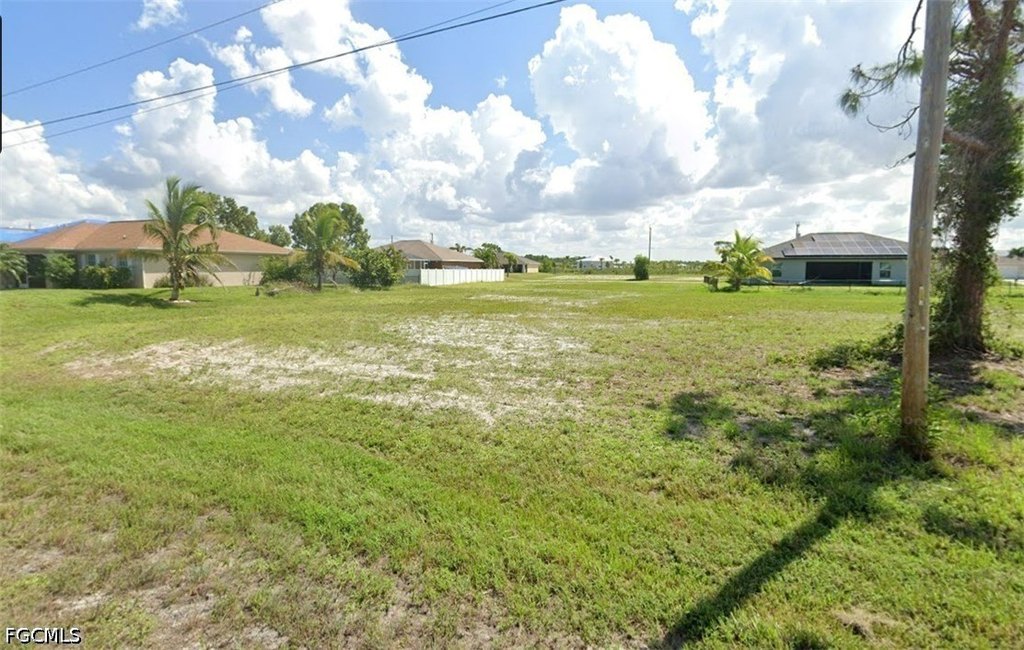 Picture 5